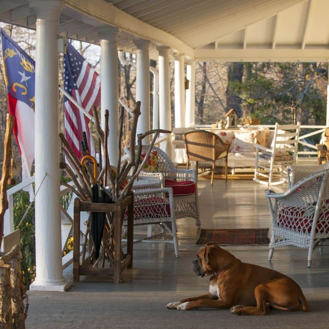 A patio in the mountains with a sleepy dog relaxing at The Orchard Inn.