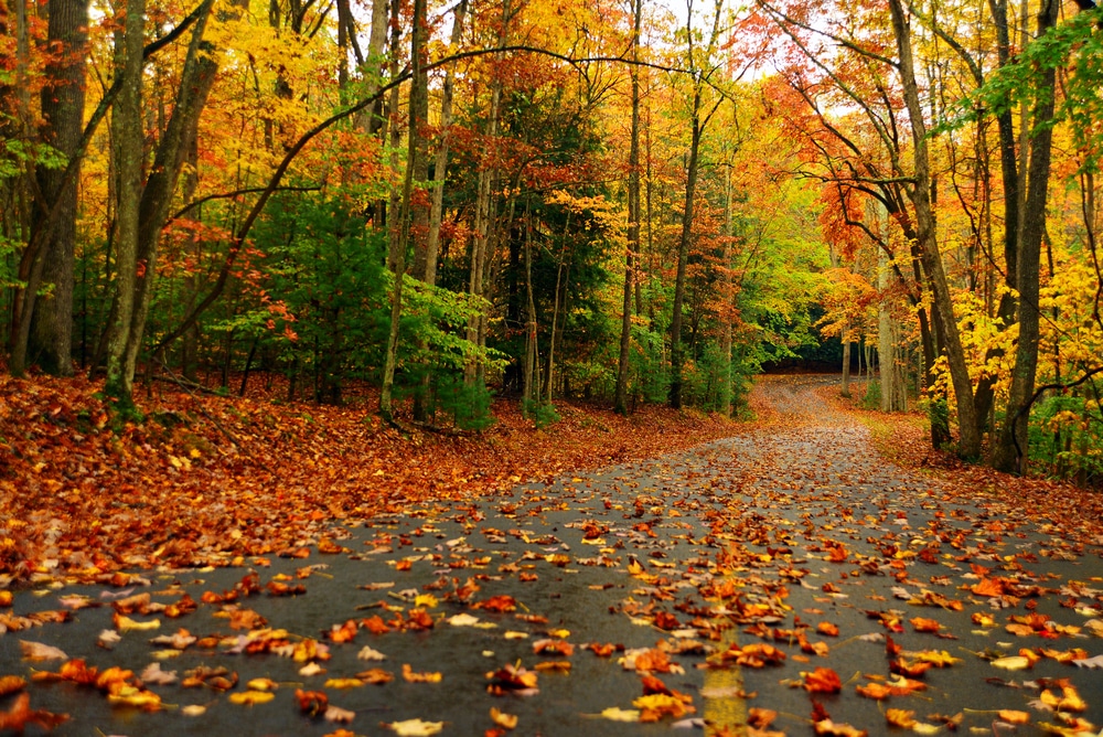 Take a scenic drive and explore these beautiful colors of Vermont in the fall