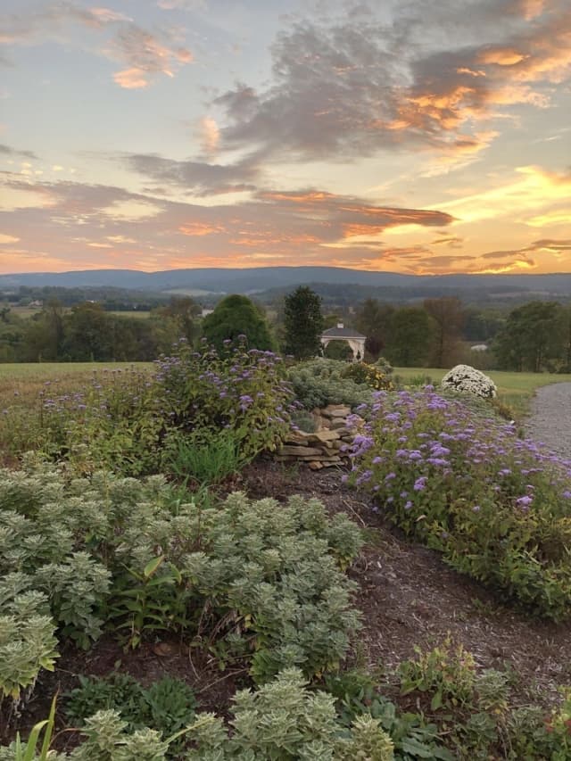 Hidden-view-bed-and-breakfast-view