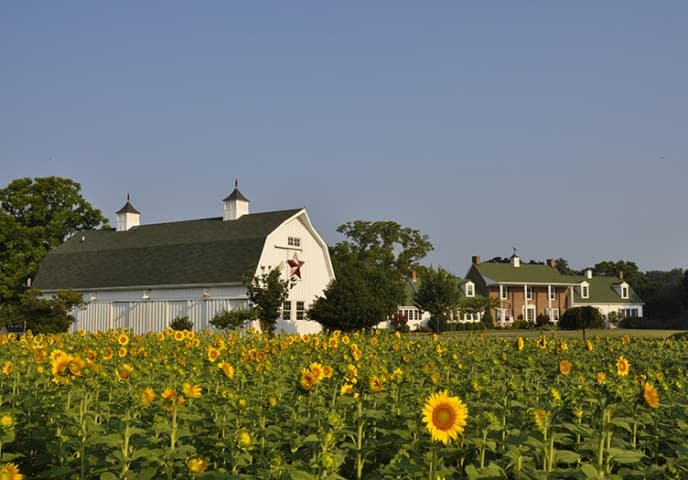 Inn at Huntingfield Creek