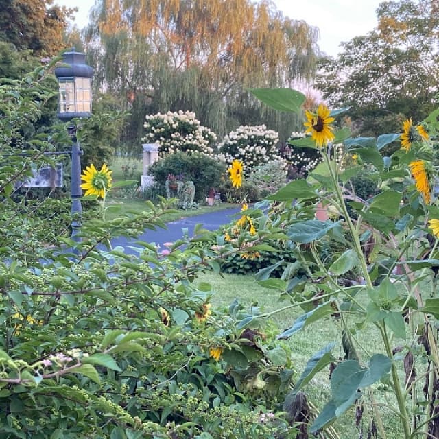 Annville garden