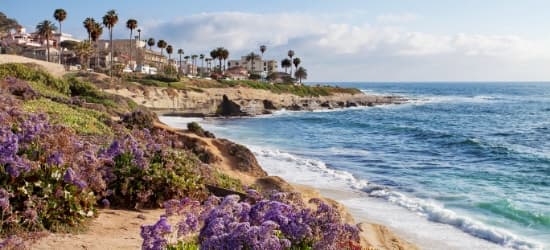 A beach with a wave crashing on the shore and palm trees along the coast.
