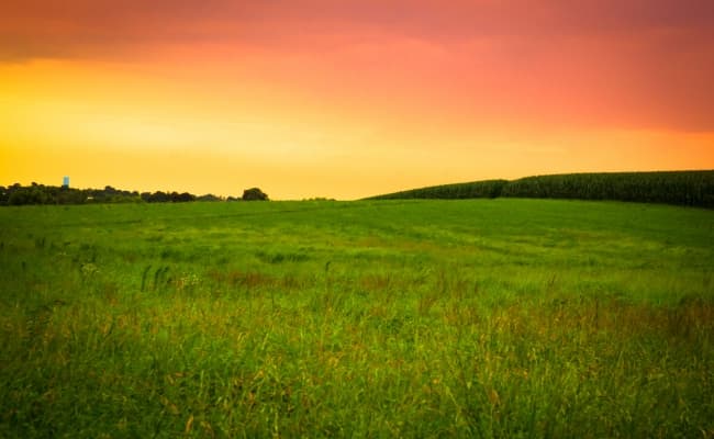 grassy field and sunset on Amish Country