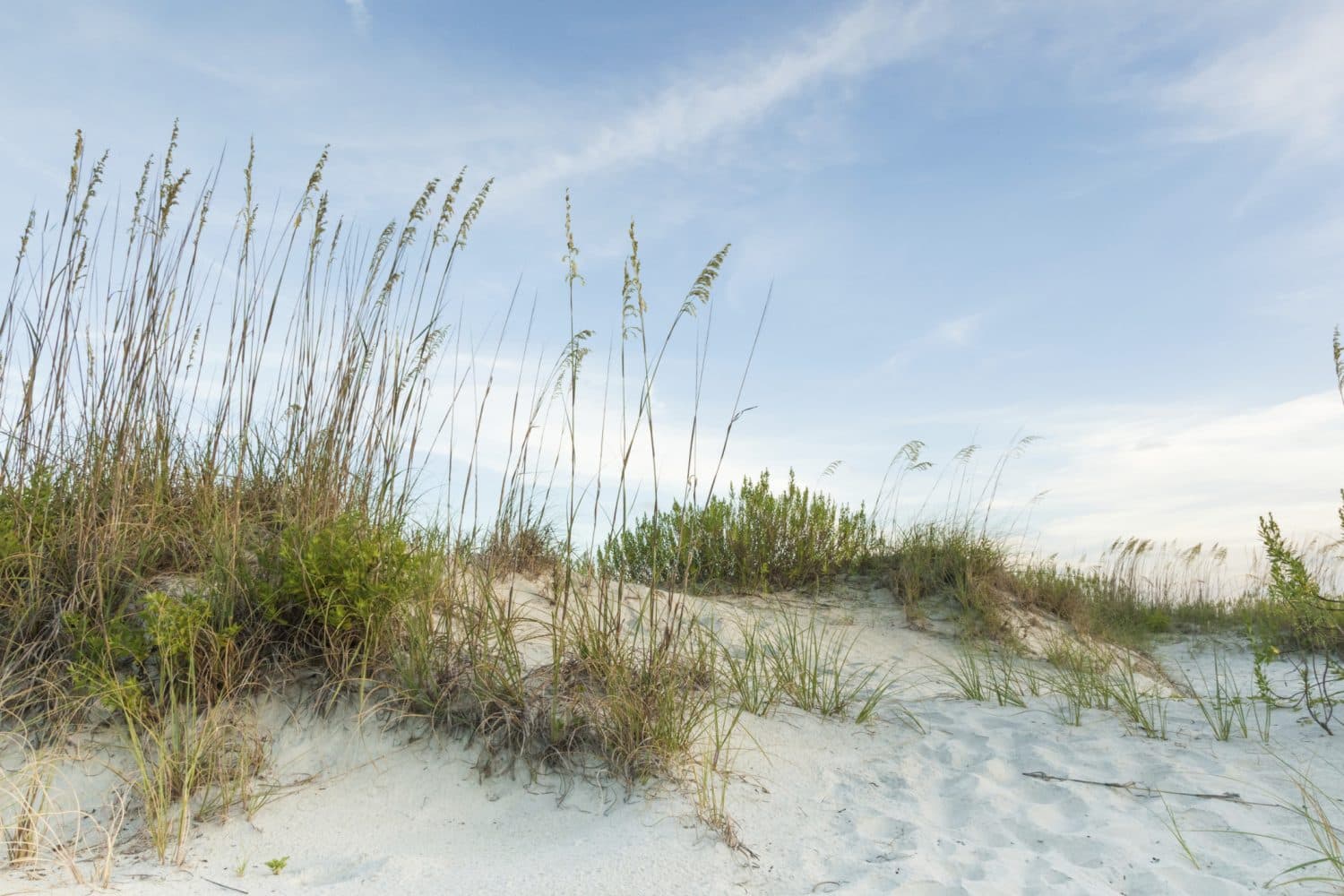 Beach sand dunes