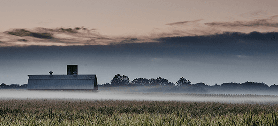 farm In the Midwest with fog hovering over the land