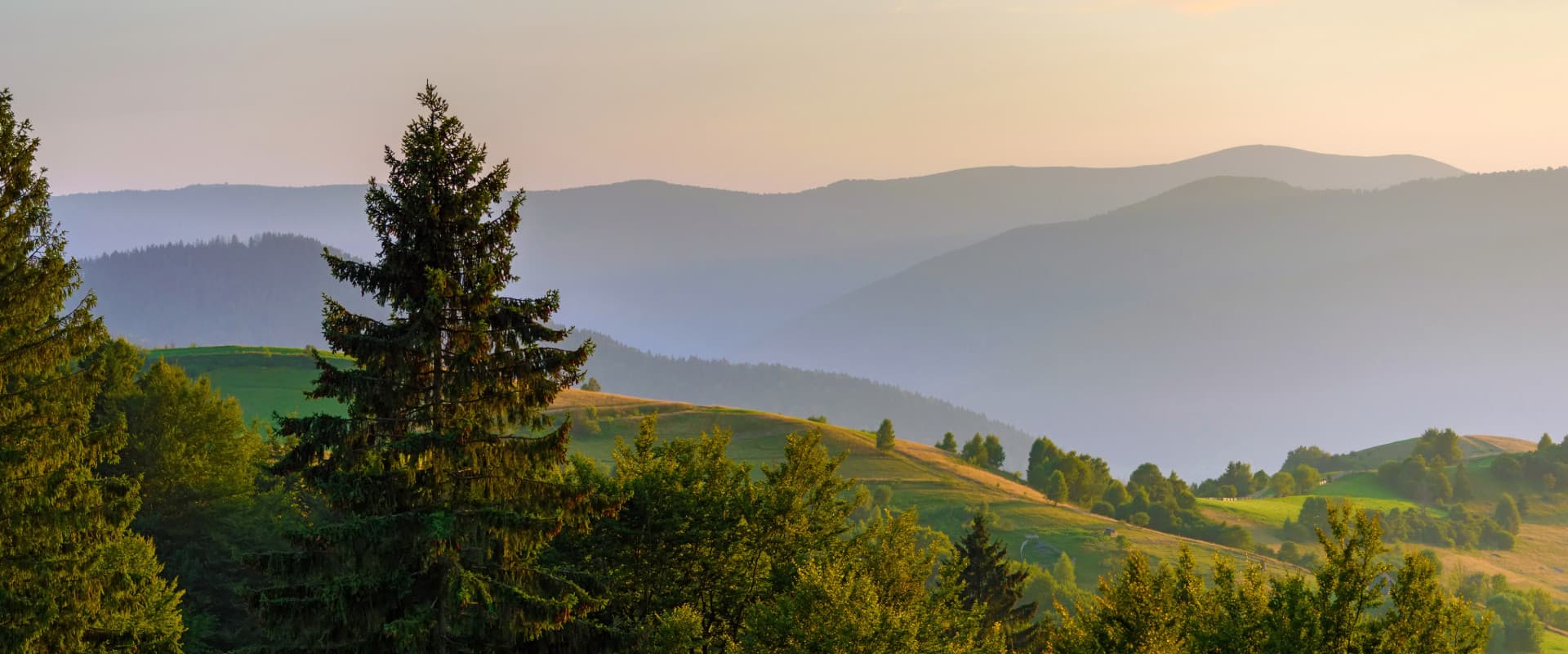 View of the hill tops and greenery on the Northeast