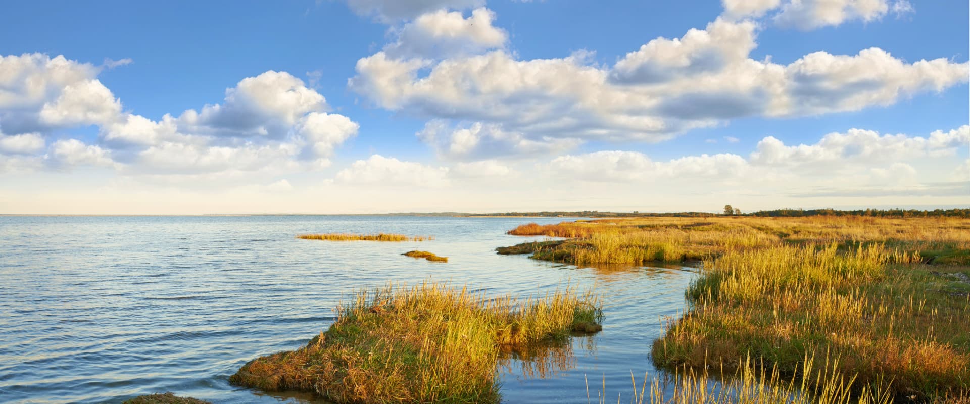 Body of water with a march and blue skies