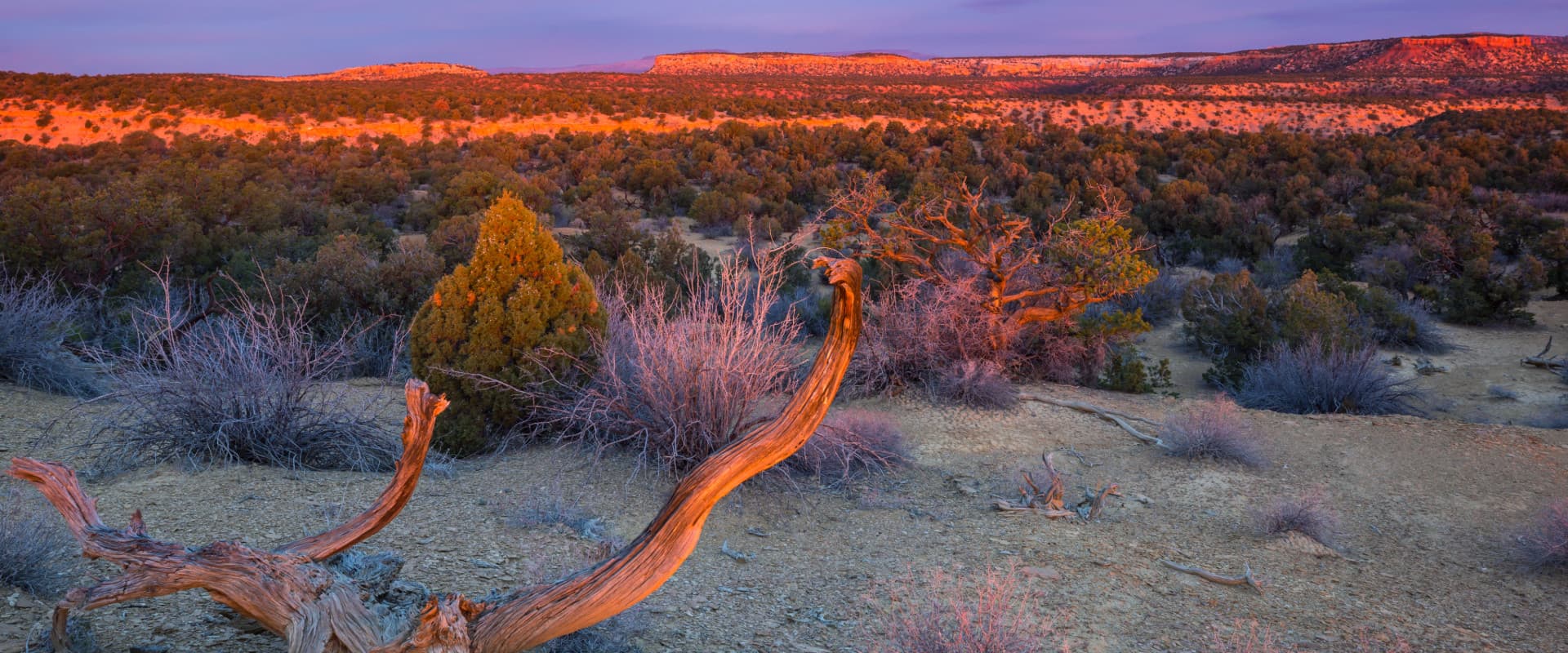 Santa Fe