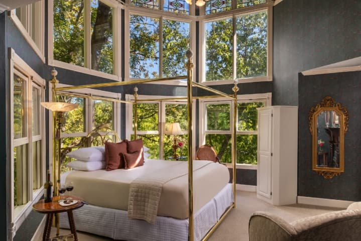tree top suite room