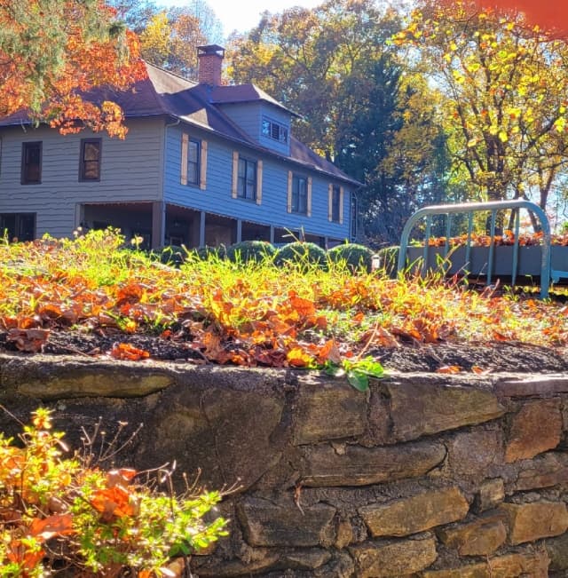 Beechwood Fall Season