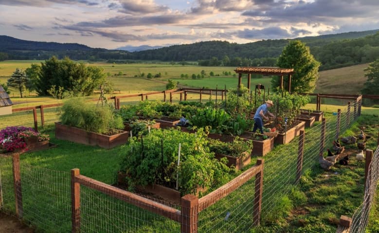 Fort Lewis Vegetable Garden