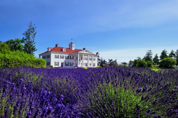 George Washington Inn