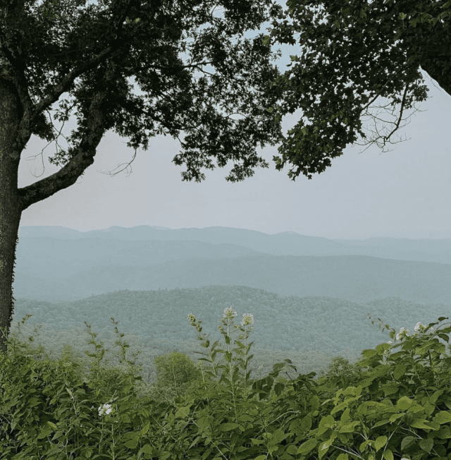 mountain view