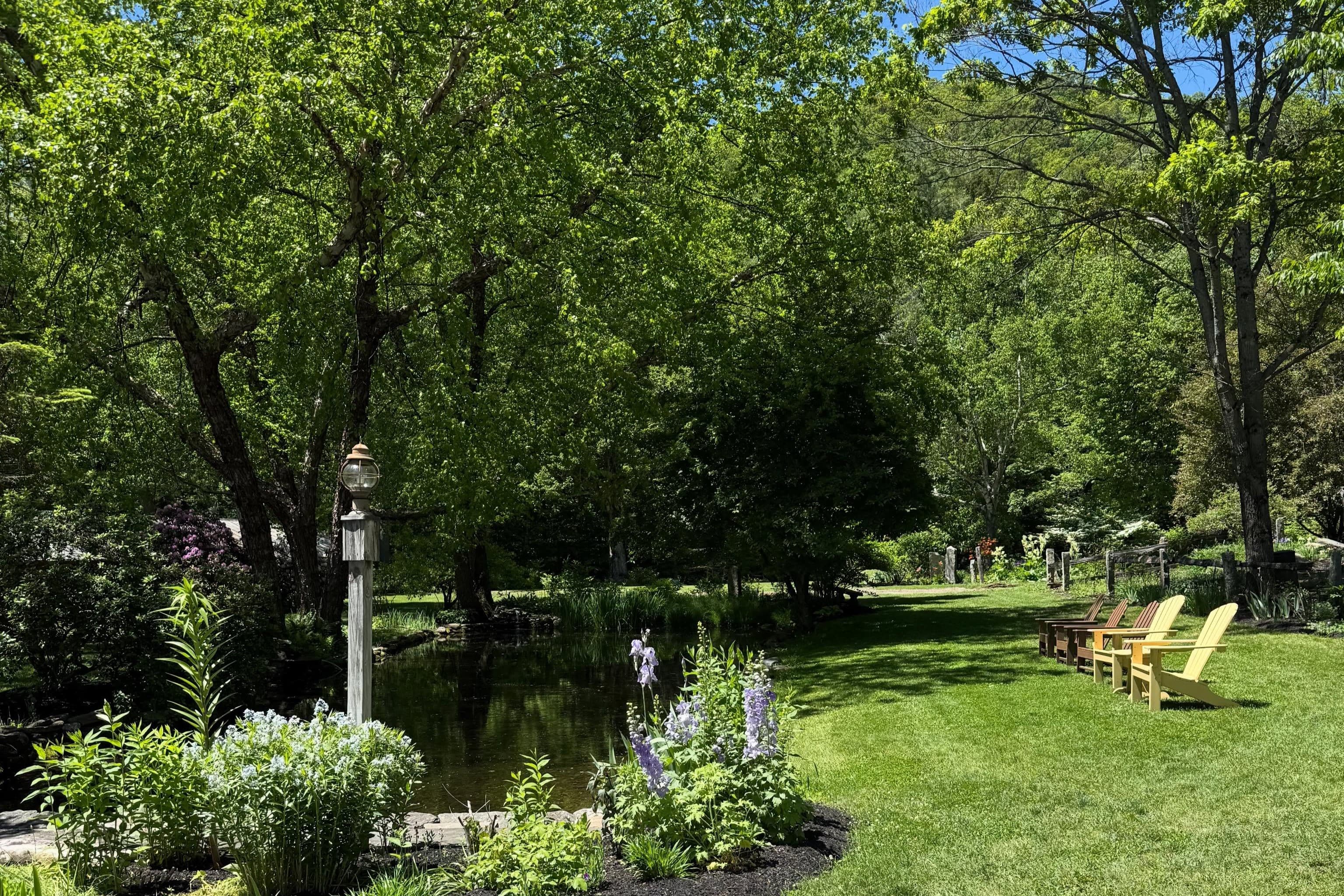 gardens and pond