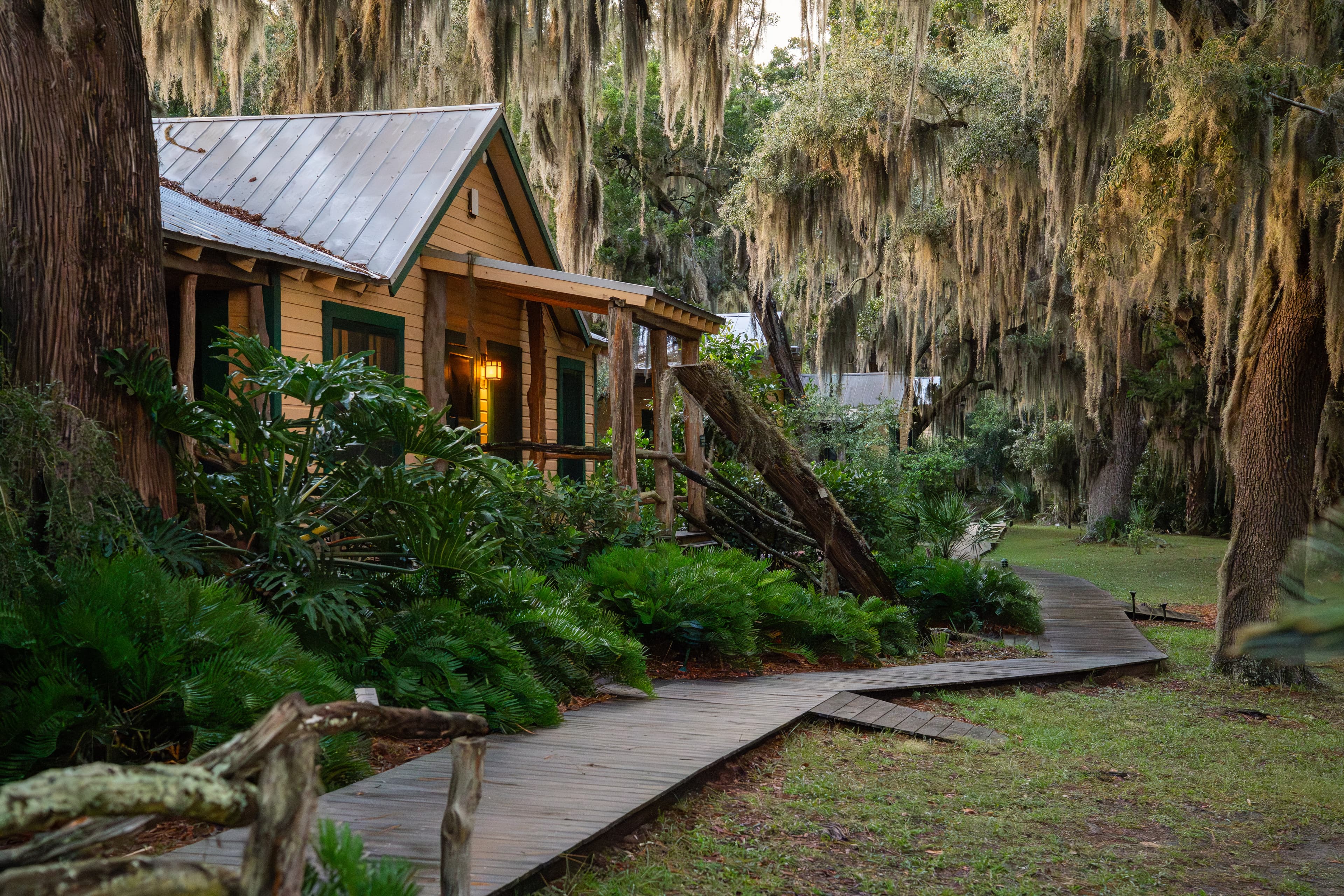Rustic cottage nestled among lush greenery and towering oak trees draped in Spanish moss, with a winding wooden boardwalk leading to its porch.