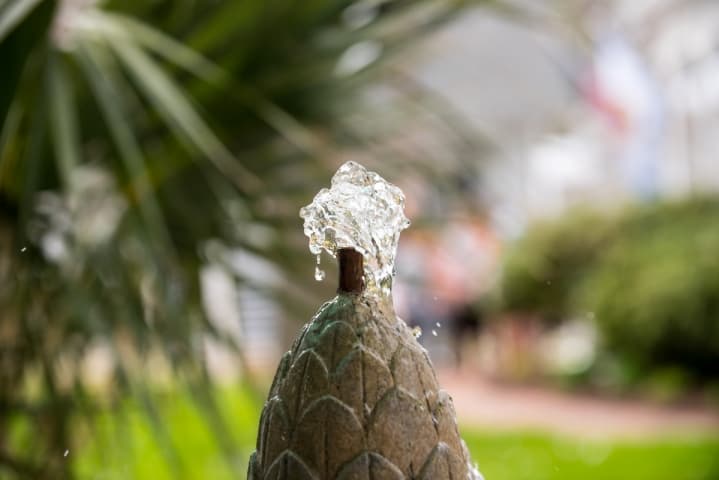 Pecan Tree Inn