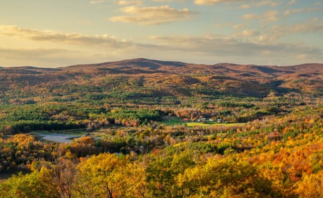 a scenic view of a valley surrounded by trees at The Berkshires