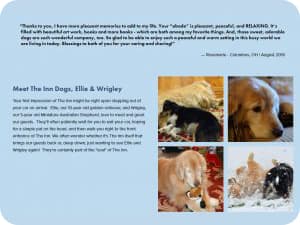 several pictures of pets next to next text introducing them by name