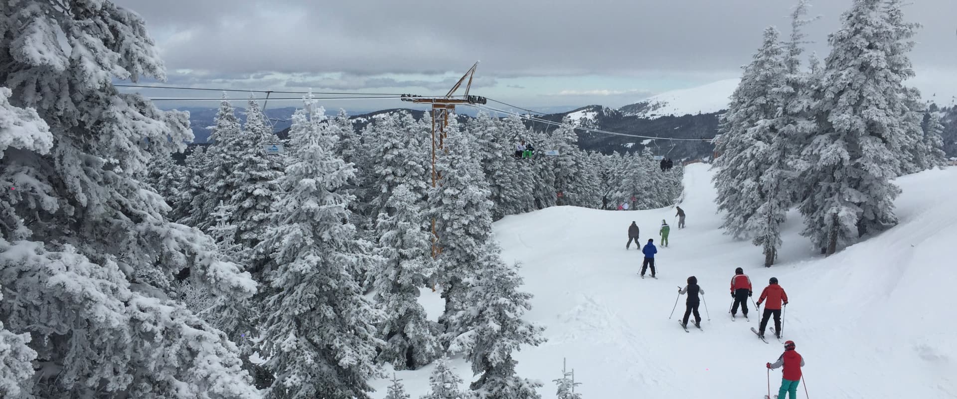 Trees covered in snow and people skiing in New England