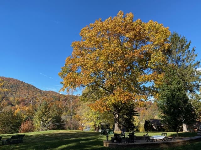 10% off a 2-night Midweek Stay