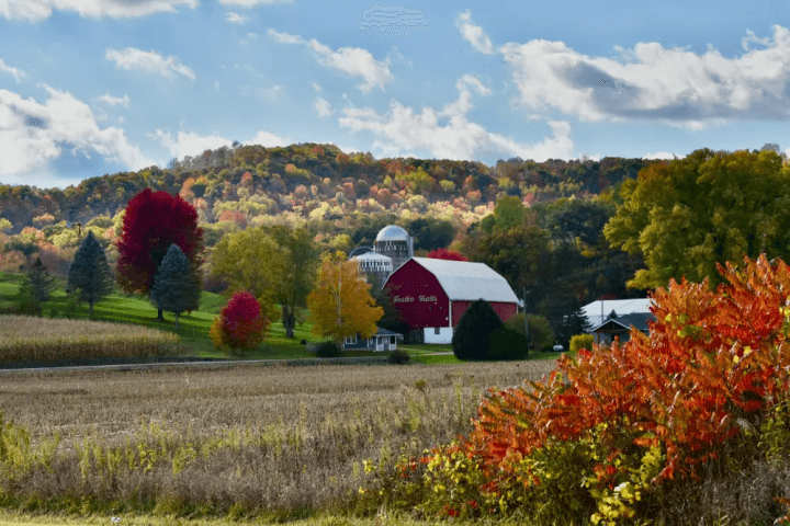 Farm Tour & Dessert Package