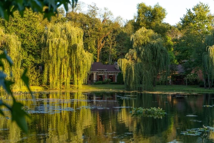 Gervasi Vineyard Resort & Spa