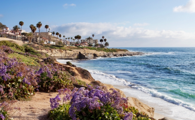 A beach with a wave crashing on the shore and palm trees along the coast.