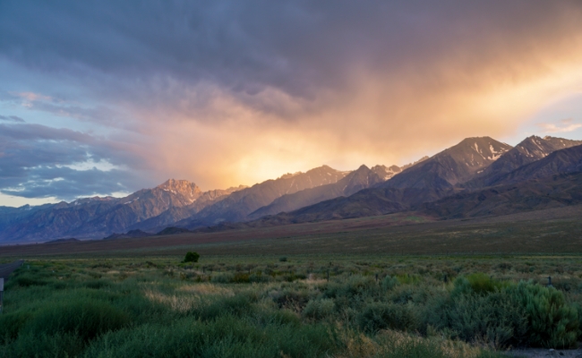 A lush field looking up to stormy Sierra Mountains at sunrise.