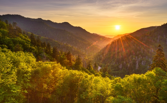 Smoky Mountains Trending Destination