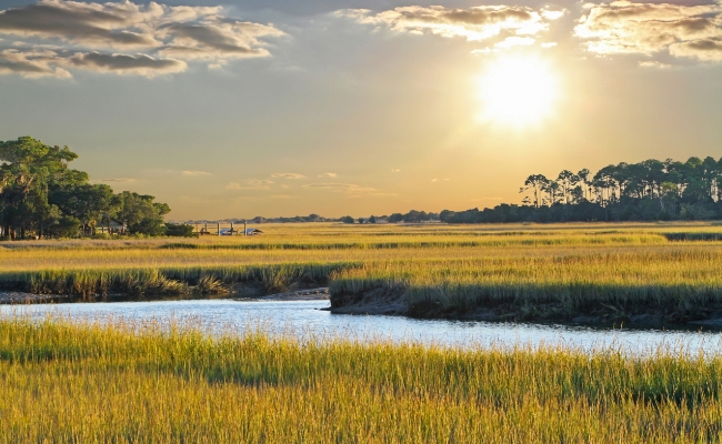 South Carolina Coast Trending Destination