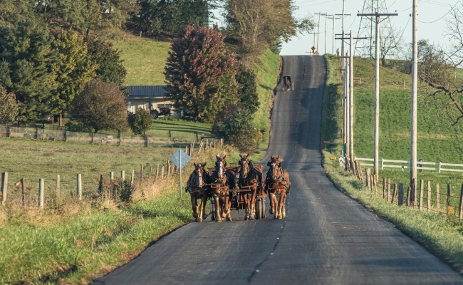 a group of horses pulling a wagon down a country road at Amish Country Ohio