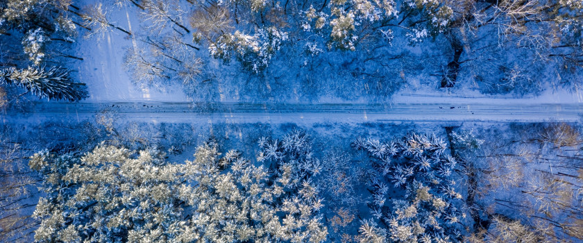 Snowy road and forest in winter