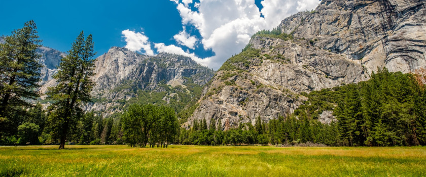 A meadow in Yosemite National Park Valley