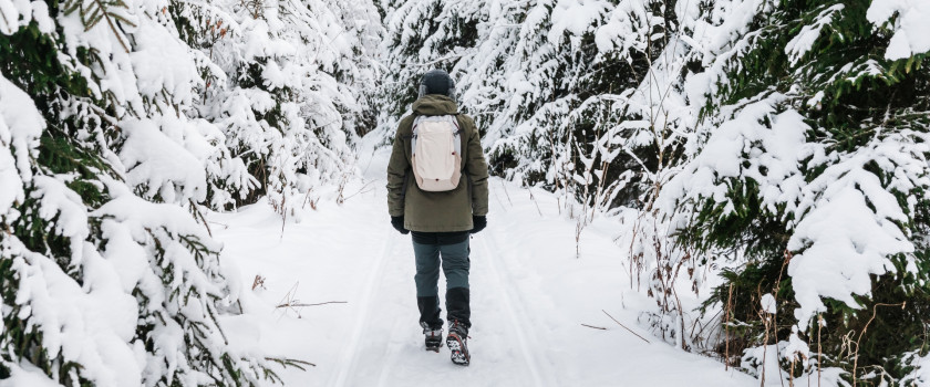Person with a backpack walking through a snow-covered forest.