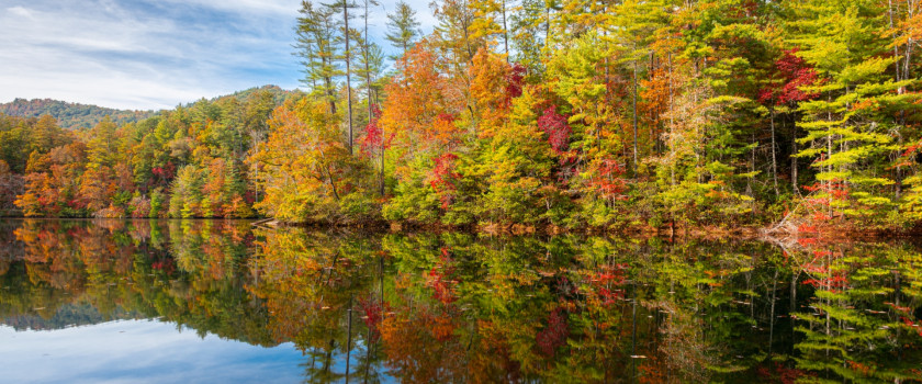 Fall foliage by a lake