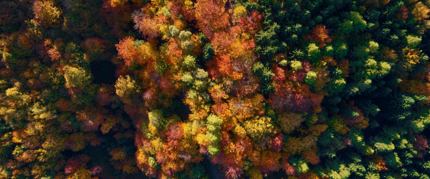 An aerial view of mountains covered with autumn foliage