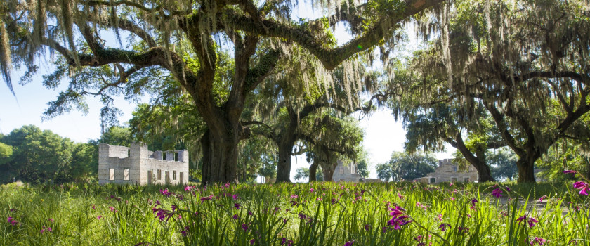 Ruins of a plantation in the south