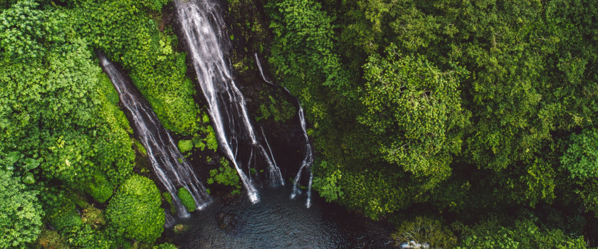 A waterfall in a lush green forest