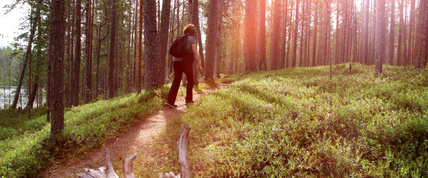 Hiker on a forest trail