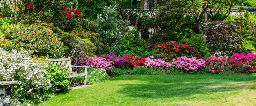 A lush garden with blooming flowers and trees in spring