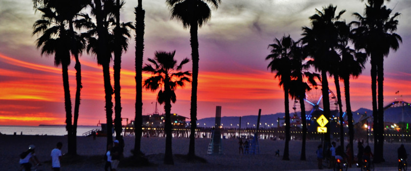 Palm trees at sunset in California