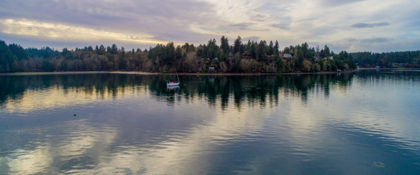 View from the water at Tolmie State Park