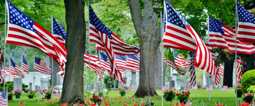 American flags in a cemetery honoring the military on Memorial Day
