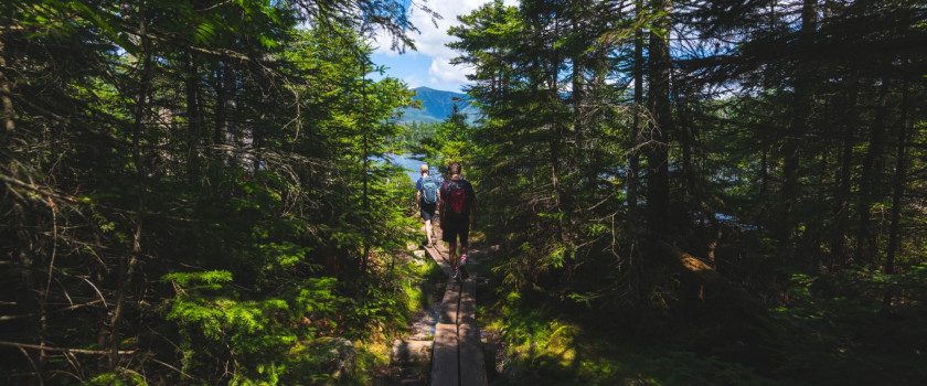 People hiking on a trail in the White Mountains of New Hampshire