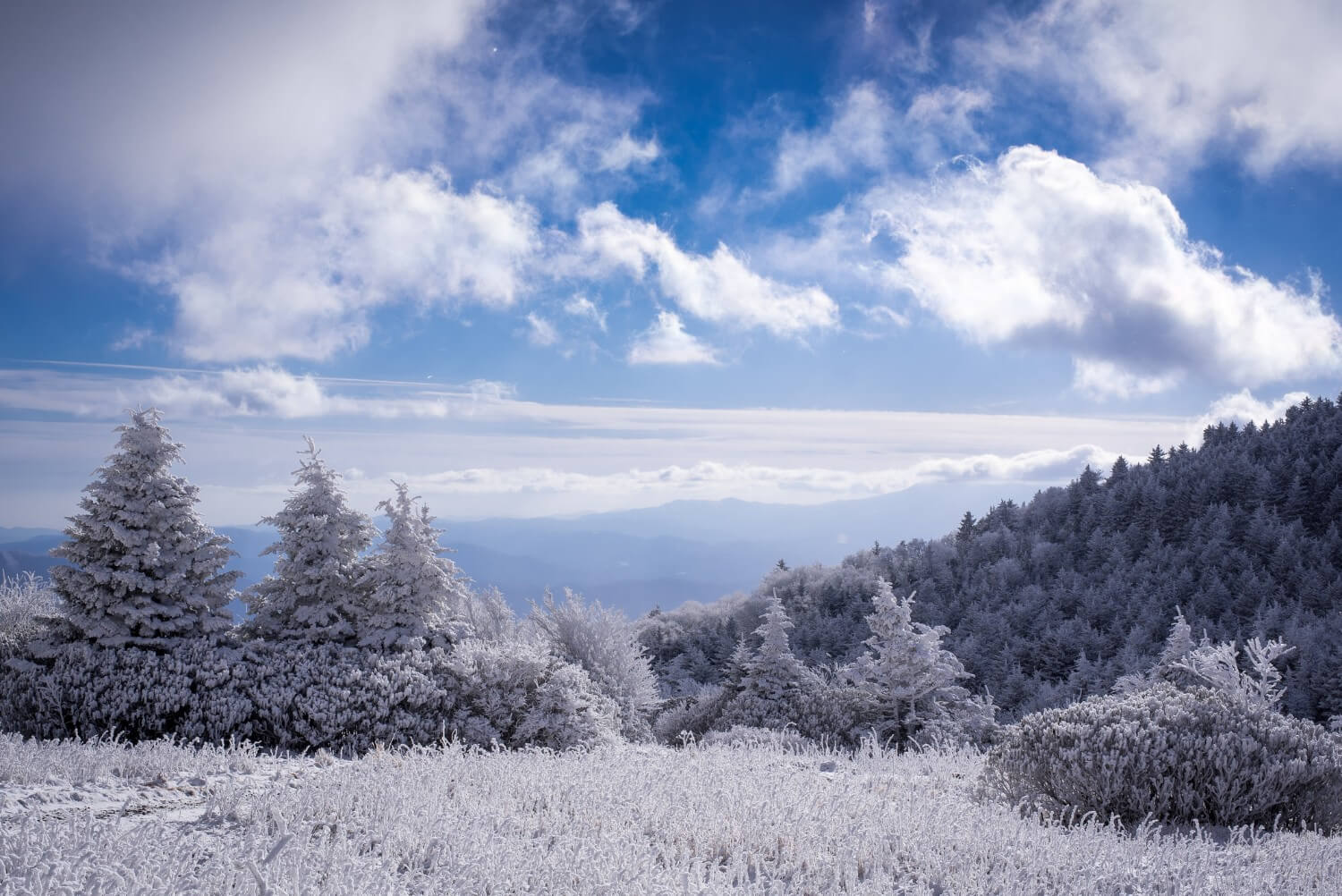 blue ridge parkway in winter, covered in snow