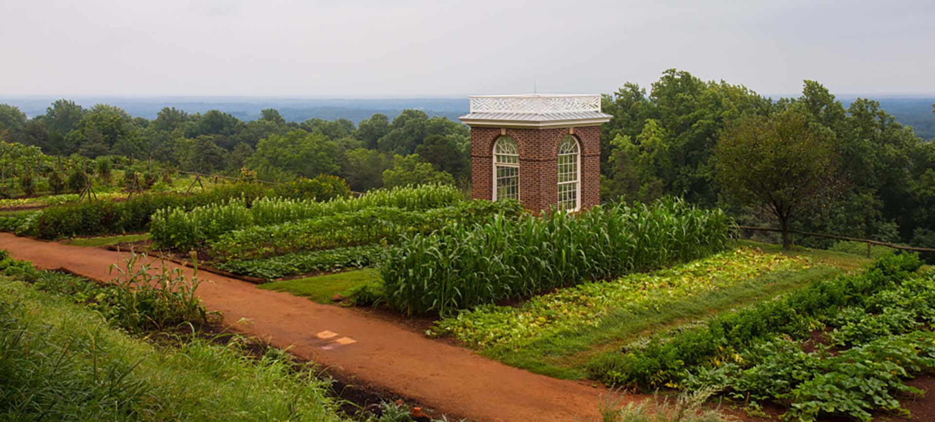 Gardens at Thomas Jefferson's Monticello