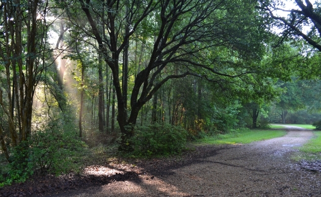 Civil Rights Trail Trending Destination