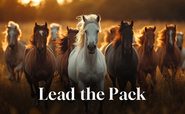 White Stone Marketing