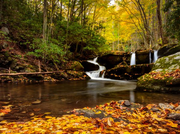 6 Things To Do In Tennessee Nature Lovers | Select Registry