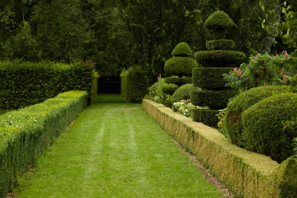 Topiary Gardens 